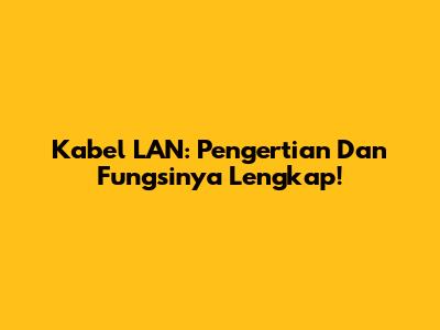 Kabel LAN: Pengertian Dan Fungsinya Lengkap!