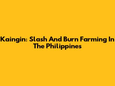 Kaingin: Slash And Burn Farming In The Philippines