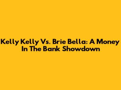Kelly Kelly Vs. Brie Bella: A Money In The Bank Showdown