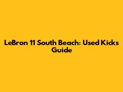 LeBron 11 South Beach: Used Kicks Guide