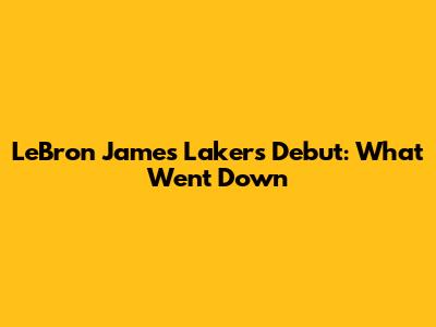LeBron James' Lakers Debut: What Went Down