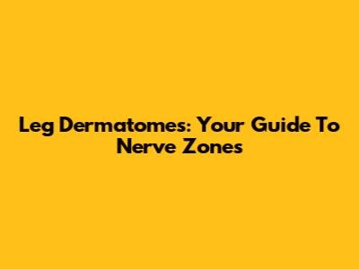 Leg Dermatomes: Your Guide To Nerve Zones