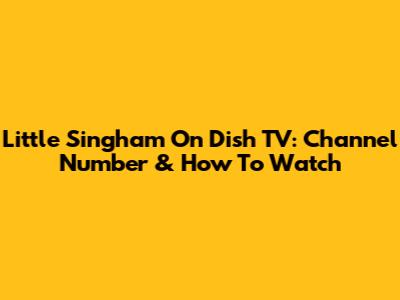 Little Singham On Dish TV: Channel Number & How To Watch