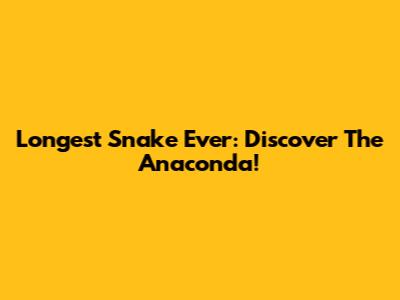 Longest Snake Ever: Discover The Anaconda!