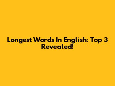 Longest Words In English: Top 3 Revealed!
