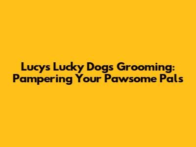 Lucy's Lucky Dogs Grooming: Pampering Your Pawsome Pals