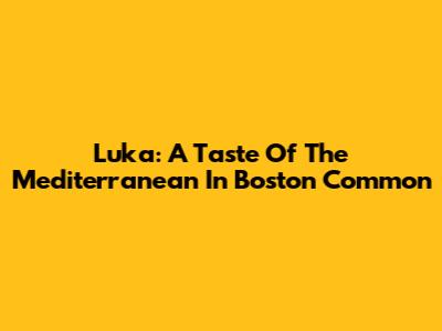 Luka: A Taste Of The Mediterranean In Boston Common