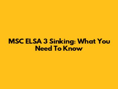 MSC ELSA 3 Sinking: What You Need To Know