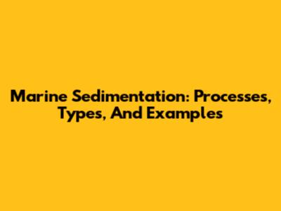 Marine Sedimentation: Processes, Types, And Examples