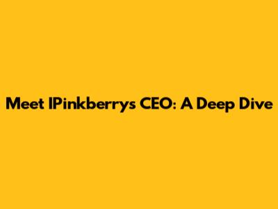 Meet IPinkberry's CEO: A Deep Dive