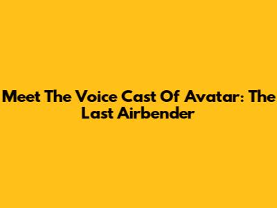 Meet The Voice Cast Of Avatar: The Last Airbender