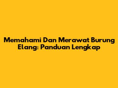 Memahami Dan Merawat Burung Elang: Panduan Lengkap