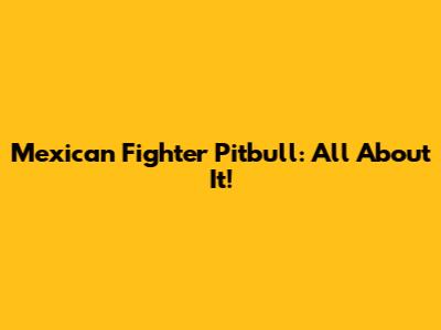Mexican Fighter Pitbull: All About It!