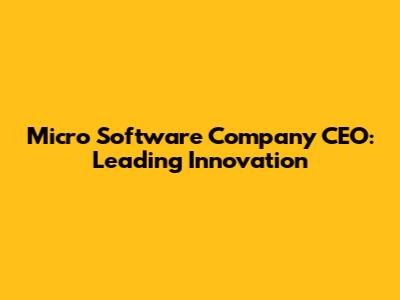 Micro Software Company CEO: Leading Innovation