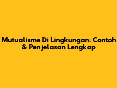 Mutualisme Di Lingkungan: Contoh & Penjelasan Lengkap