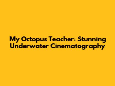 My Octopus Teacher: Stunning Underwater Cinematography