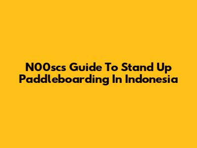 N00sc's Guide To Stand Up Paddleboarding In Indonesia