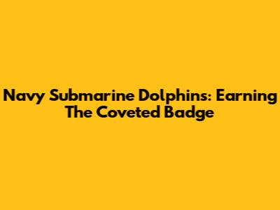 Navy Submarine Dolphins: Earning The Coveted Badge