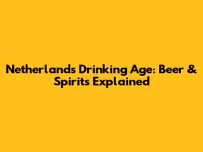 Netherlands Drinking Age: Beer & Spirits Explained
