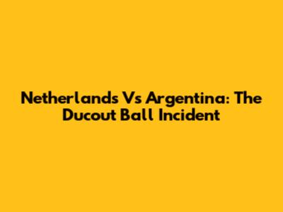 Netherlands Vs Argentina: The Ducout Ball Incident