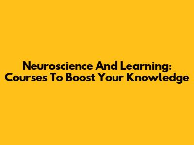 Neuroscience And Learning: Courses To Boost Your Knowledge