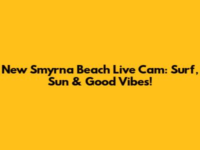 New Smyrna Beach Live Cam: Surf, Sun & Good Vibes!