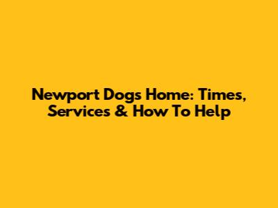 Newport Dogs Home: Times, Services & How To Help