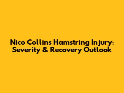 Nico Collins Hamstring Injury: Severity & Recovery Outlook
