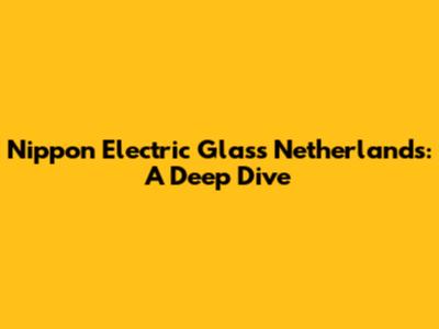 Nippon Electric Glass Netherlands: A Deep Dive