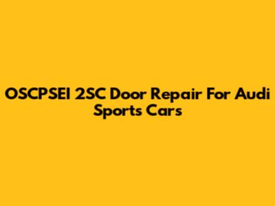 OSCPSEI 2SC Door Repair For Audi Sports Cars