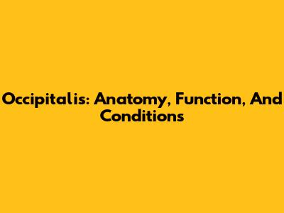 Occipitalis: Anatomy, Function, And Conditions