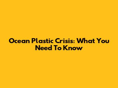 Ocean Plastic Crisis: What You Need To Know