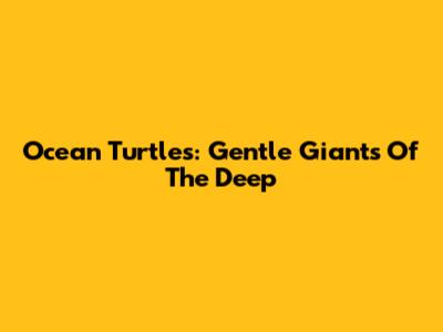 Ocean Turtles: Gentle Giants Of The Deep