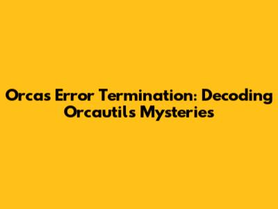Orca's Error Termination: Decoding Orcautil's Mysteries
