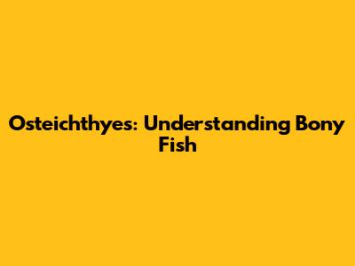 Osteichthyes: Understanding Bony Fish