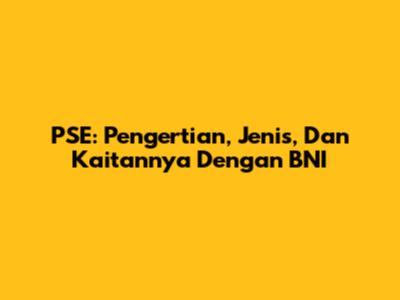 PSE: Pengertian, Jenis, Dan Kaitannya Dengan BNI