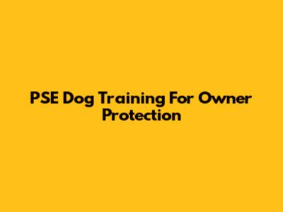 PSE Dog Training For Owner Protection