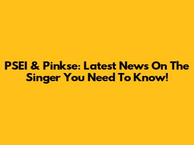 PSEI & Pinkse: Latest News On The Singer You Need To Know!