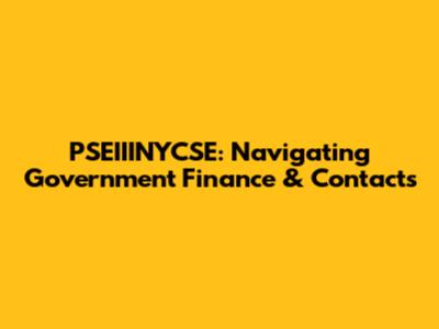 PSEIIINYCSE: Navigating Government Finance & Contacts