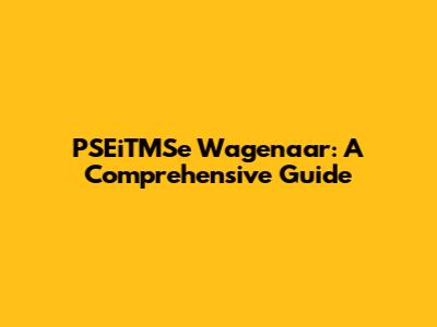 PSEiTMSe Wagenaar: A Comprehensive Guide