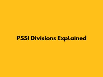 PSSI Divisions Explained