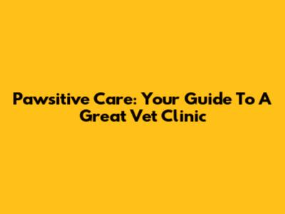 Pawsitive Care: Your Guide To A Great Vet Clinic
