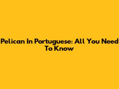 Pelican In Portuguese: All You Need To Know