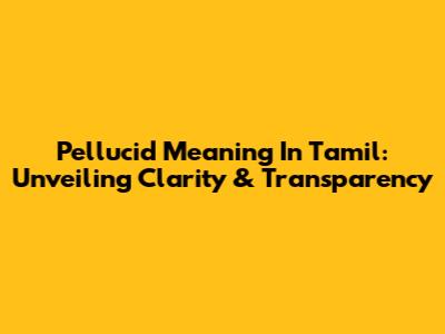 Pellucid Meaning In Tamil: Unveiling Clarity & Transparency