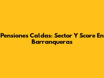 Pensiones Caldas: Sector Y Score En Barranqueras