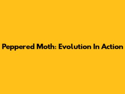 Peppered Moth: Evolution In Action
