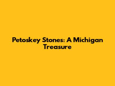 Petoskey Stones: A Michigan Treasure