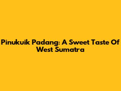 Pinukuik Padang: A Sweet Taste Of West Sumatra