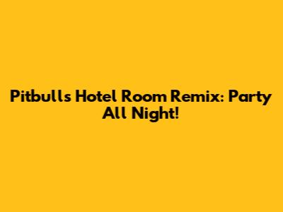 Pitbull's Hotel Room Remix: Party All Night!