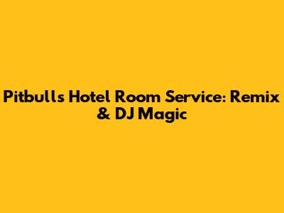 Pitbull's Hotel Room Service: Remix & DJ Magic